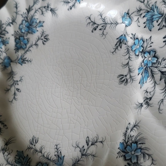 Myott England Forget Me Not Fine Staffordshire Ware Blue Floral Shabby Chic - Picture 14 of 16